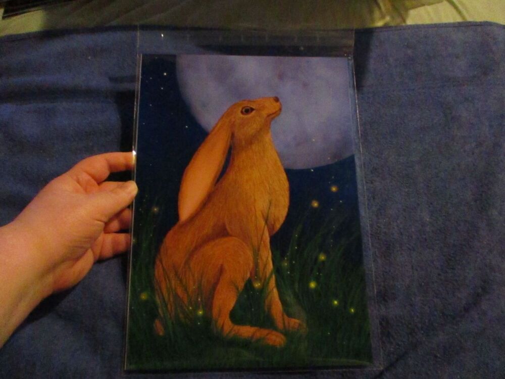 Moon Gazing Hare (Realistic) -  Professional Print - A4 Size. By Goblin Dreams