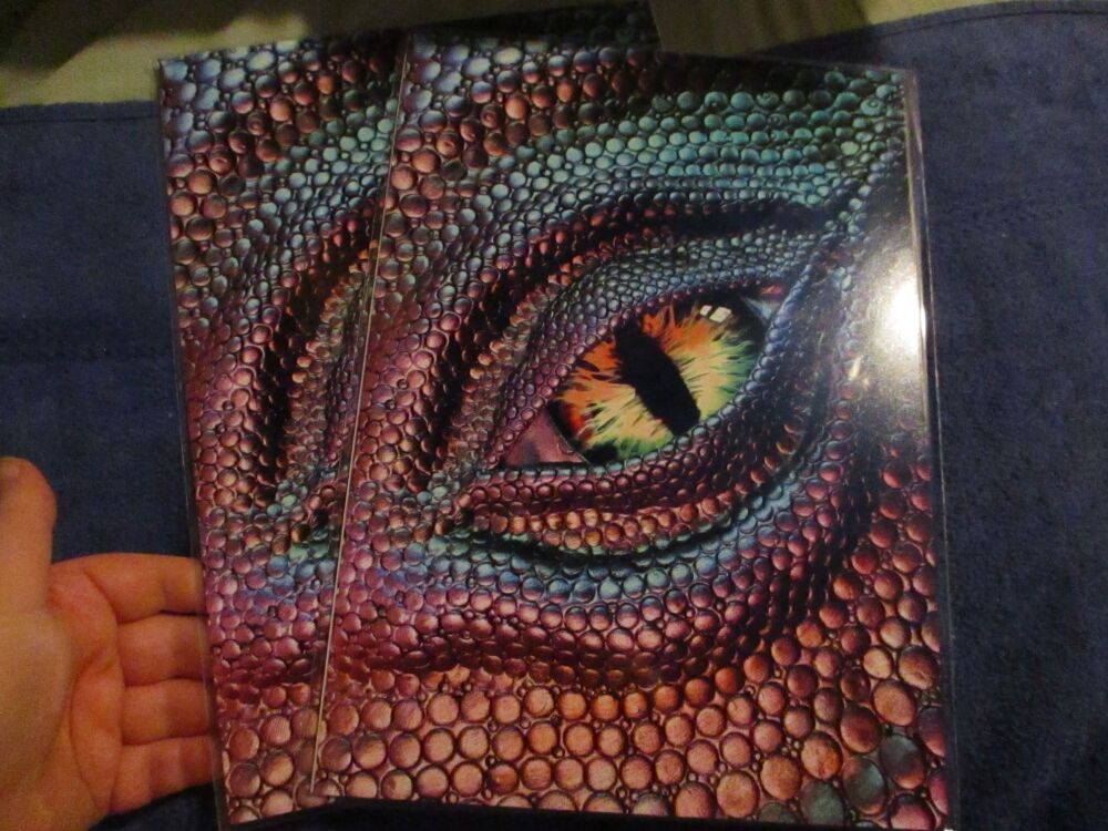Pink & Aqua Dragon Eye -  Professional Print - A4 Size. By Goblin Dreams