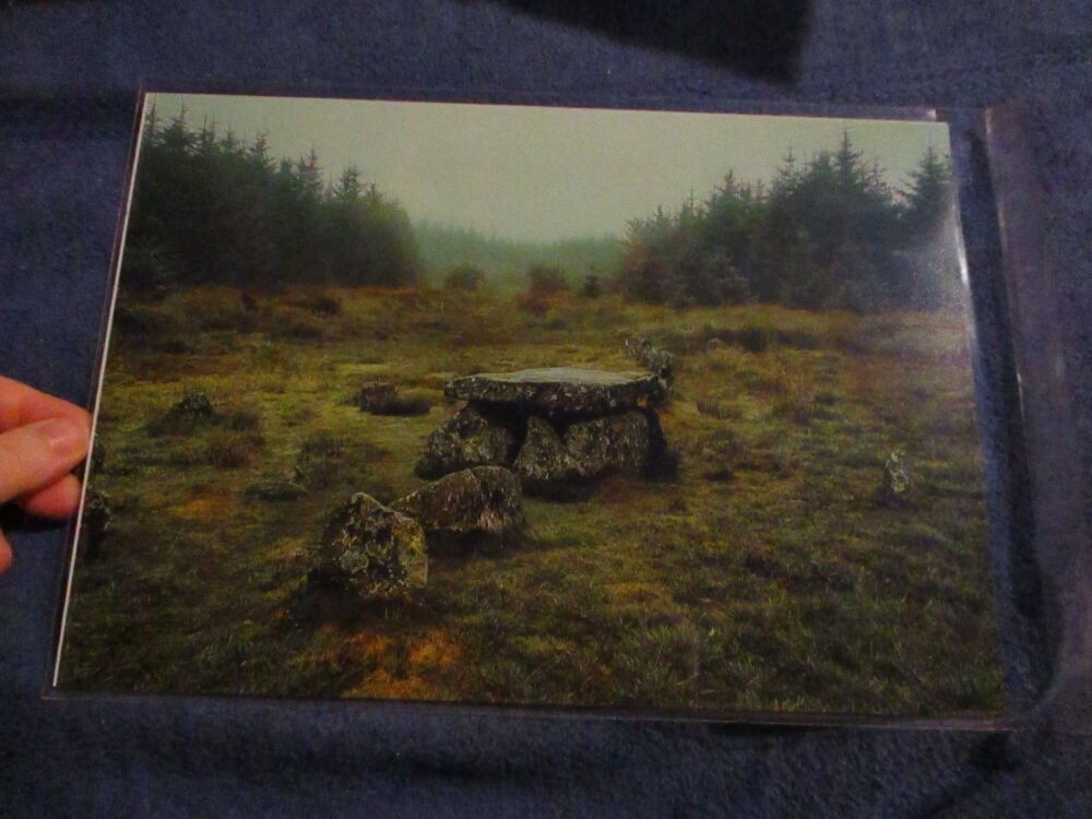 Cairn Stones (Bellever Forest) - Professional Print - A4 Size. By Goblin Dreams