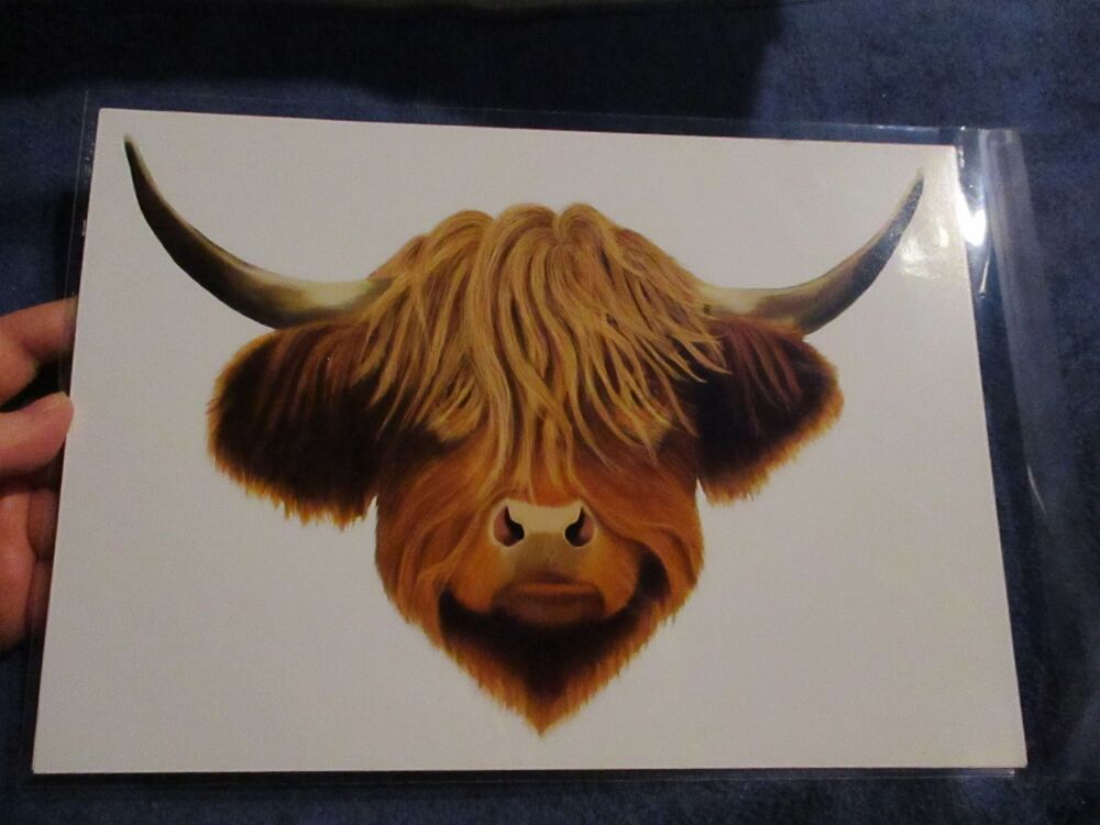 Highland Coo (Cow) - Professional Print - A4 Size. By Goblin Dreams