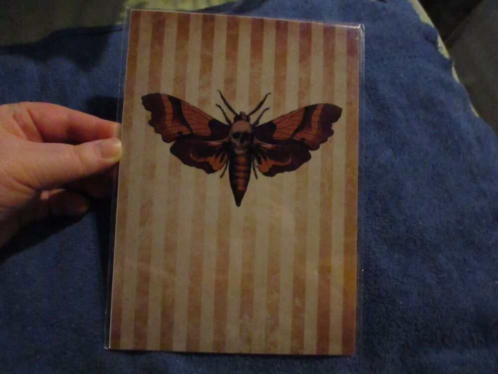 Death's Head Moth - Professional Print - A5 Size. By Goblin Dreams