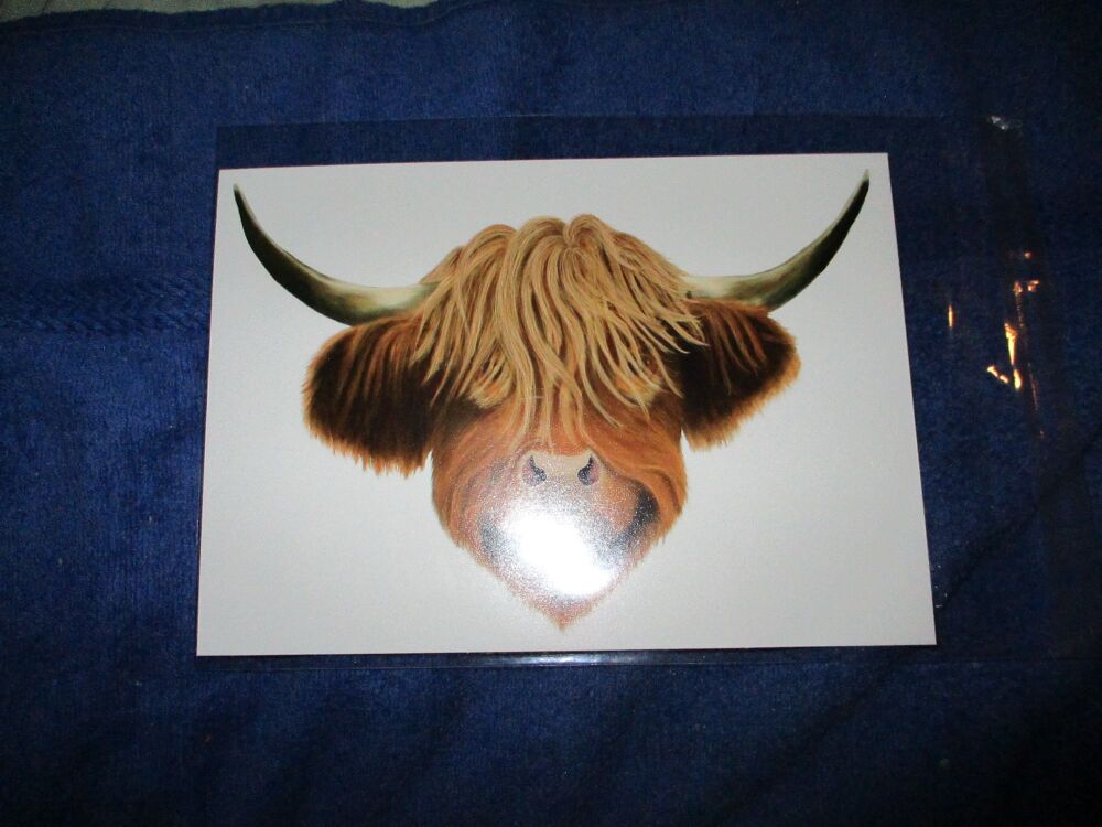 Highland Coo (Cow) - Professional Print - A5 Size. By Goblin Dreams