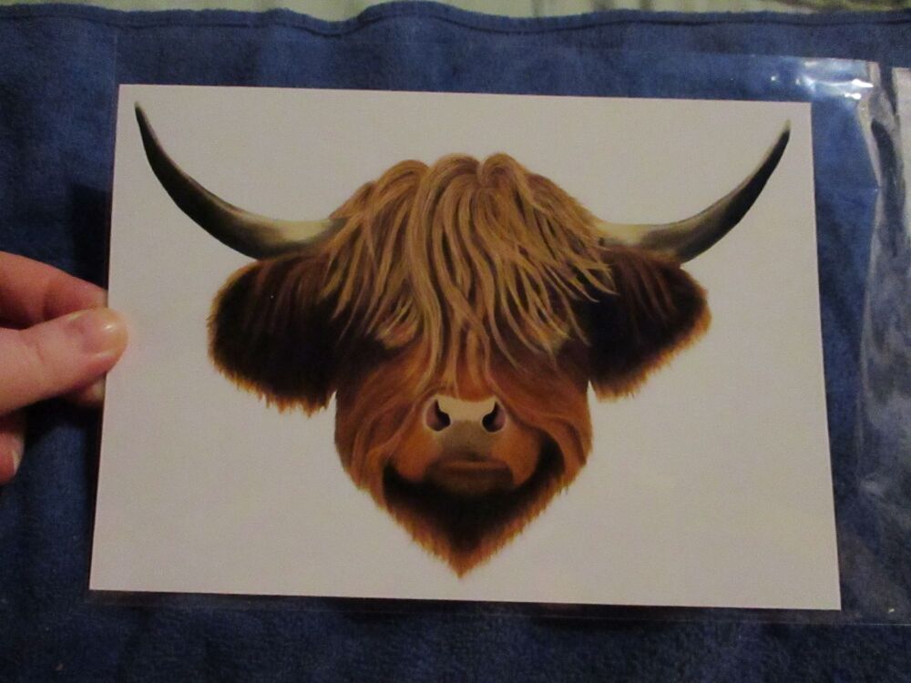 Highland Coo (Cow) - Professional Print - A5 Size. By Goblin Dreams