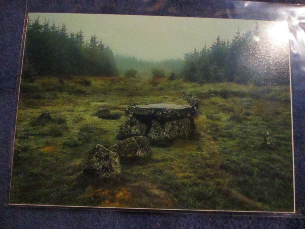 Cairn Stones (Bellever Forest) - Professional Print - A5 Size. By Goblin Dreams