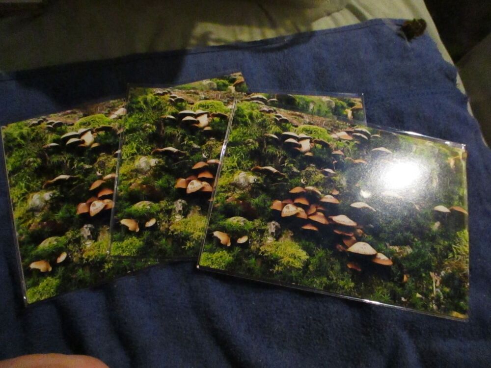 Mossy Fungus Hillside - Professional Print - A5 Size. By Goblin Dreams