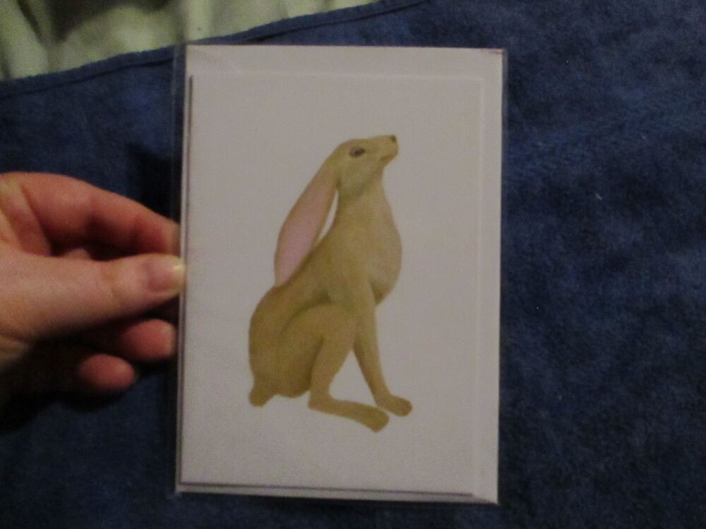 Moon Gazing Hare (Pale) Greeting Card - Professional Print - A6 Size. By Goblin Dreams