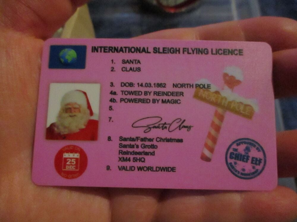 Santa's International Sleigh Flying Licence - Small Pink Plastic Card