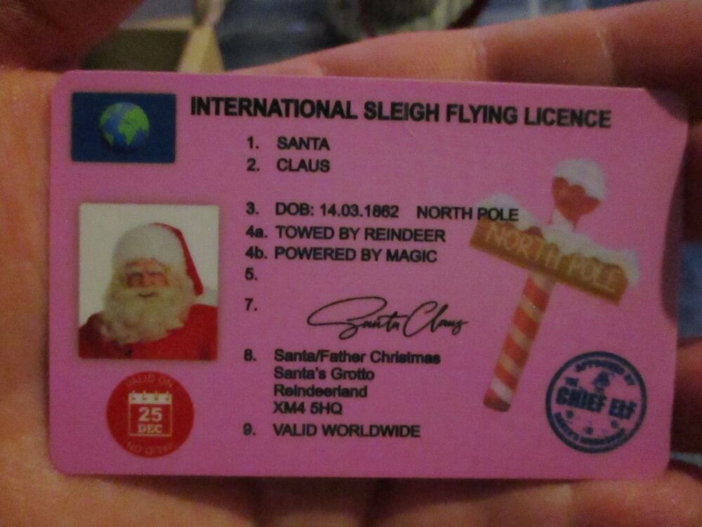 Santa's International Sleigh Flying Licence - Small Pink Plastic Card