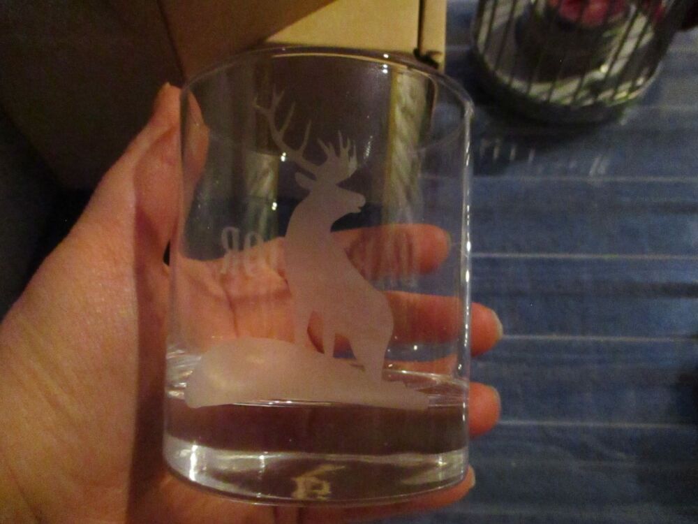 Dartmoor Stag - Glass Etched Design - 300ml Tumbler