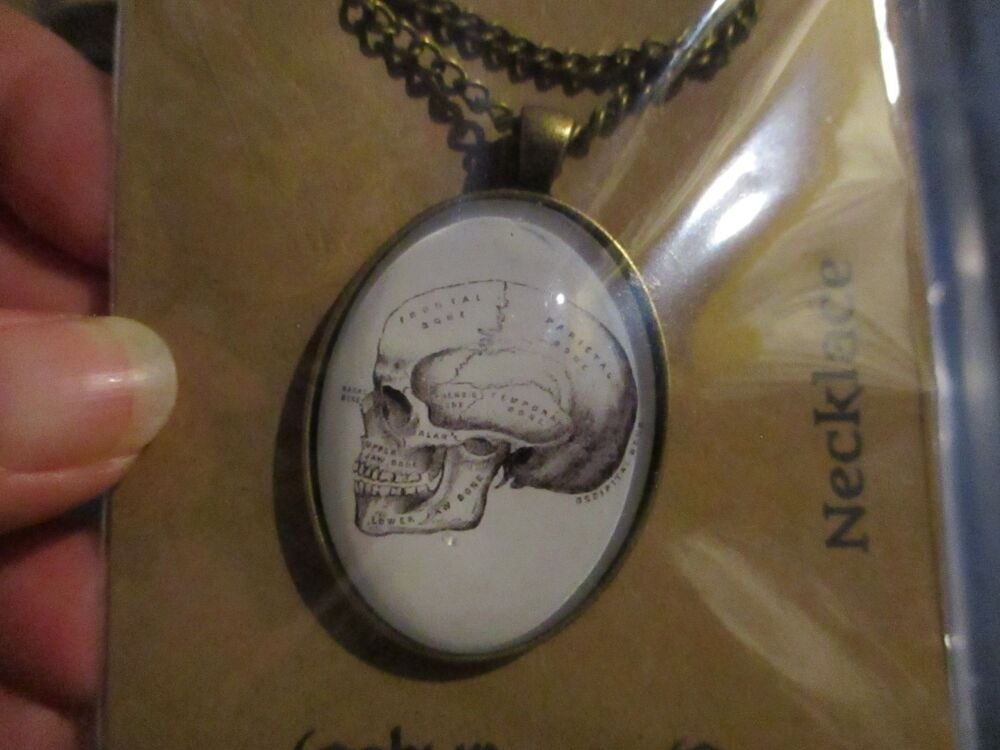 Brassy tone "Anatomical Skull" - Dome Pendant with chain - Goblin Dreams