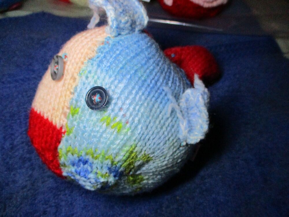 Peach Red Blue Rainbow Midi Fish with Grey Blue Eyes Knitted Soft Toy