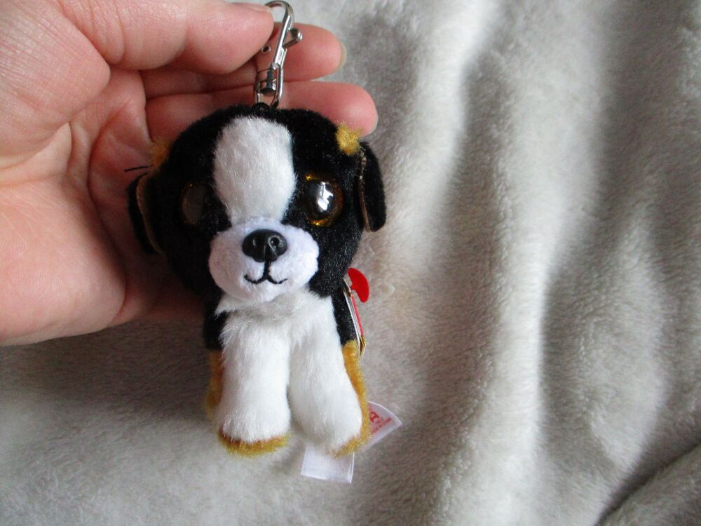 "Roscoe" the Bernese Mountain Dog Keyclip Keyring -  VelveTY Beanie Boos