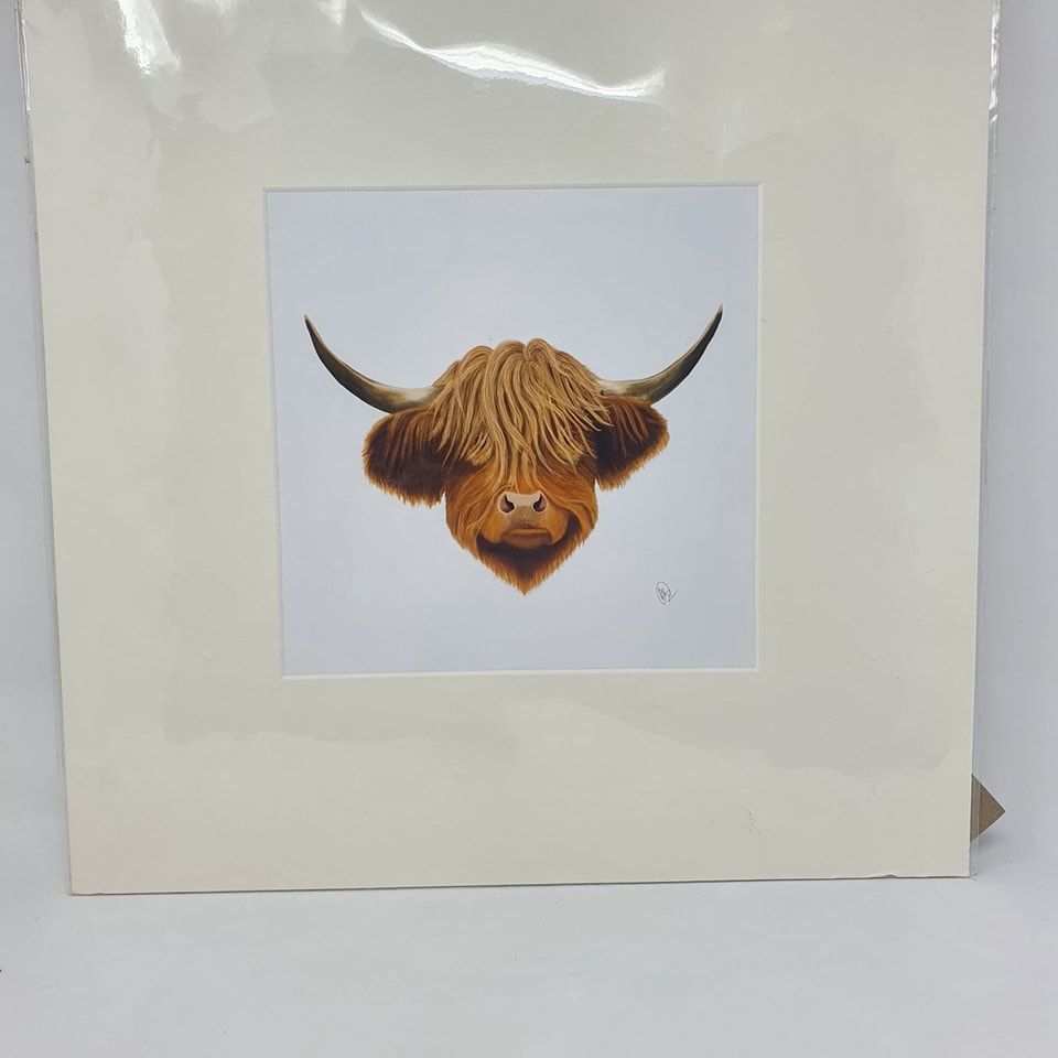 Large (40cm) Mounted Print -Highland Coo (Cow) - Professional Print - By Goblin Dreams