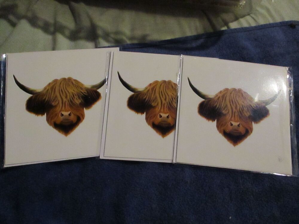 Highland Coo - Square card - Greetings Card