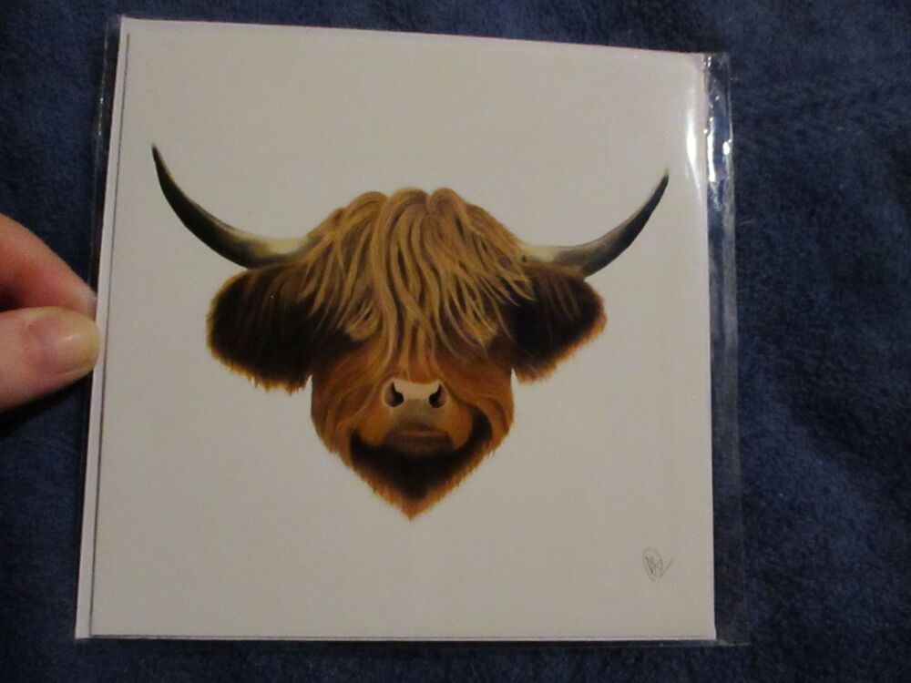 Highland Coo - Square card - Greetings Card