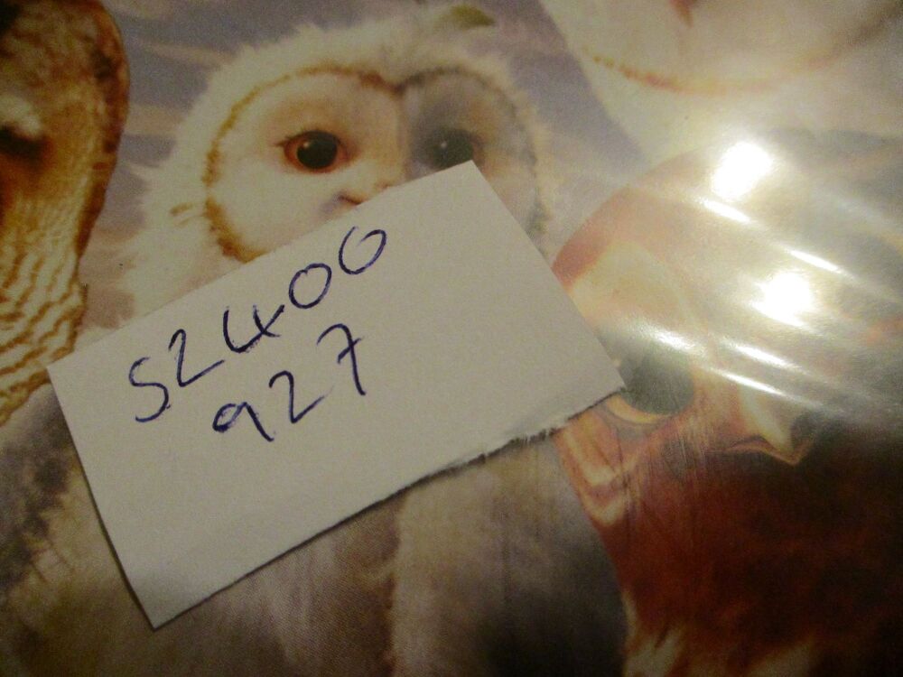 Legend Of The Guardians - The Owls Of Ga'hoole - DVD - SEALED Disc. VGC Case - Pal (S2400927)