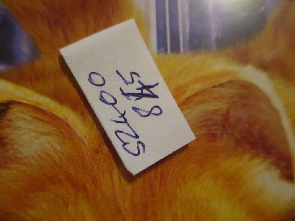 Garfield The Movie -  DVD - FP/FS Disc VGC Case - Pal (S2400845)