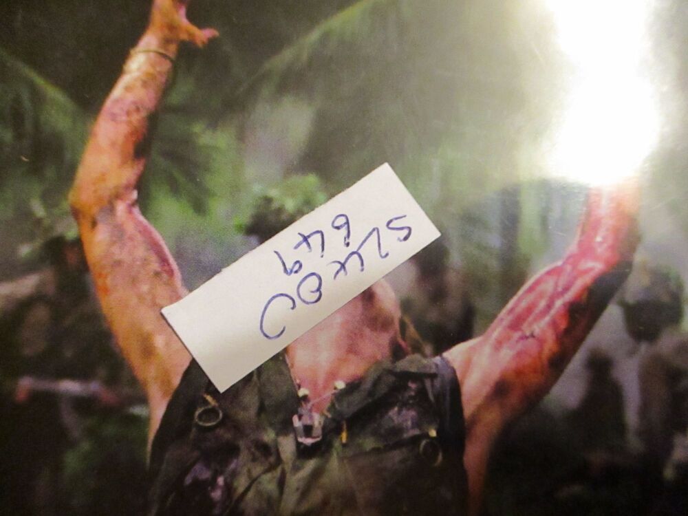 Platoon - DVD - LN Disc - VGC Case - Pal (S2400649)