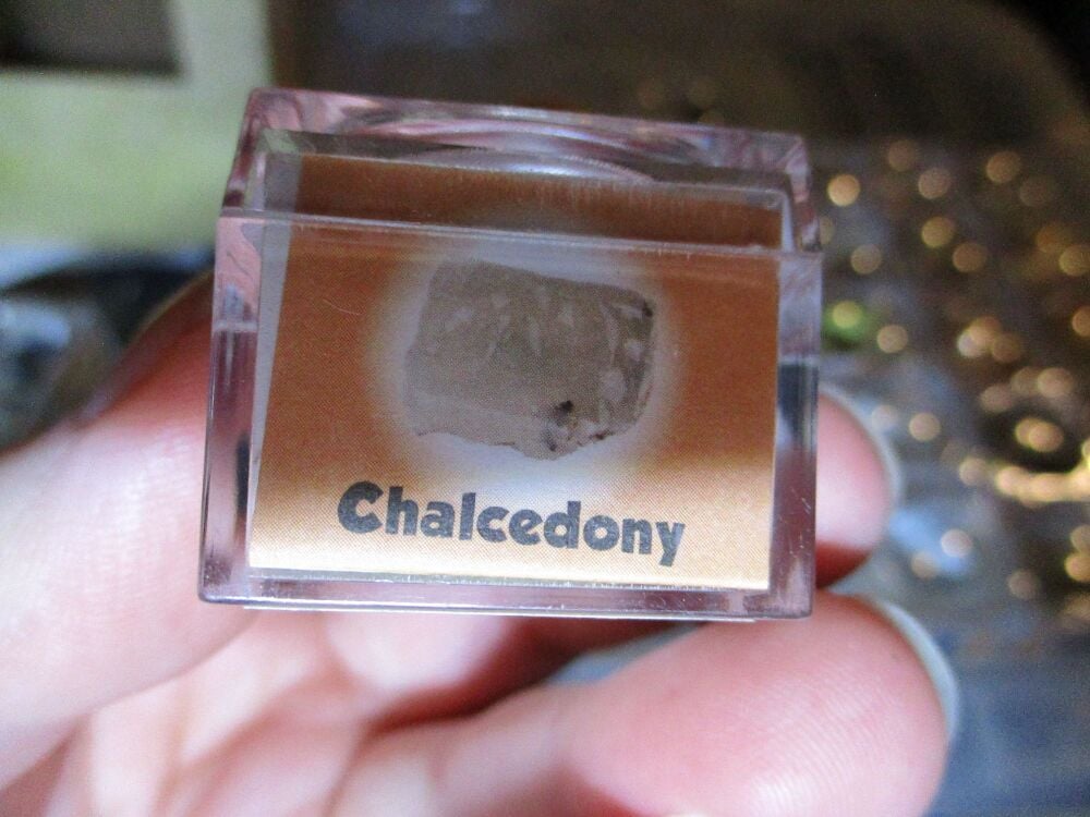 Chalcedony Mineral/Gem Stone Fragment in Display Magnification Box