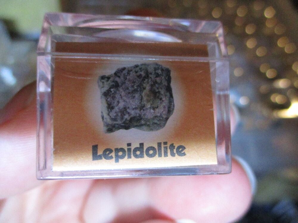 Lepidolite Mineral/Gem Stone Fragment in Display Magnification Box