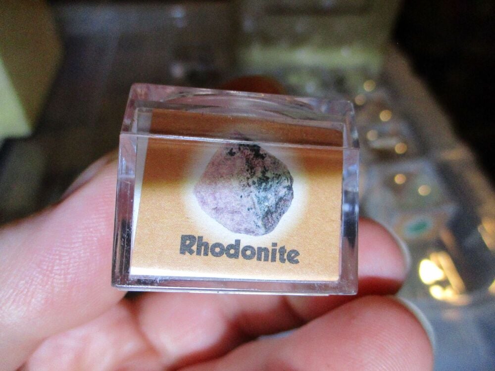 Rhodonite Mineral/Gem Stone Fragment in Display Magnification Box