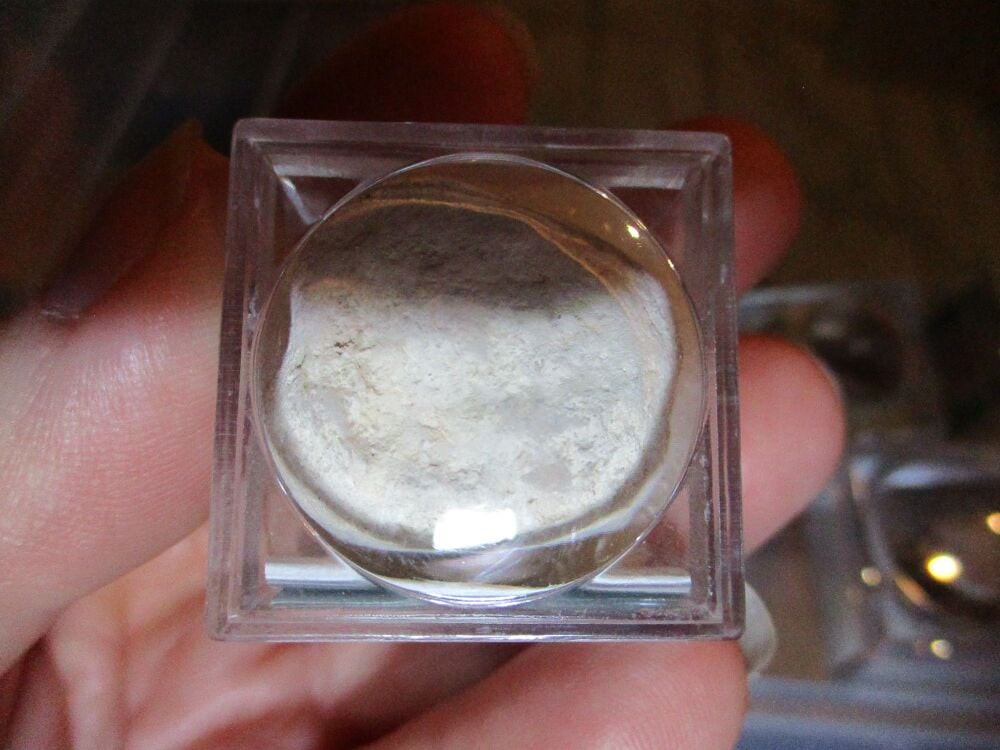 Sand Dollar Fossil Fragment in Display Magnification Box