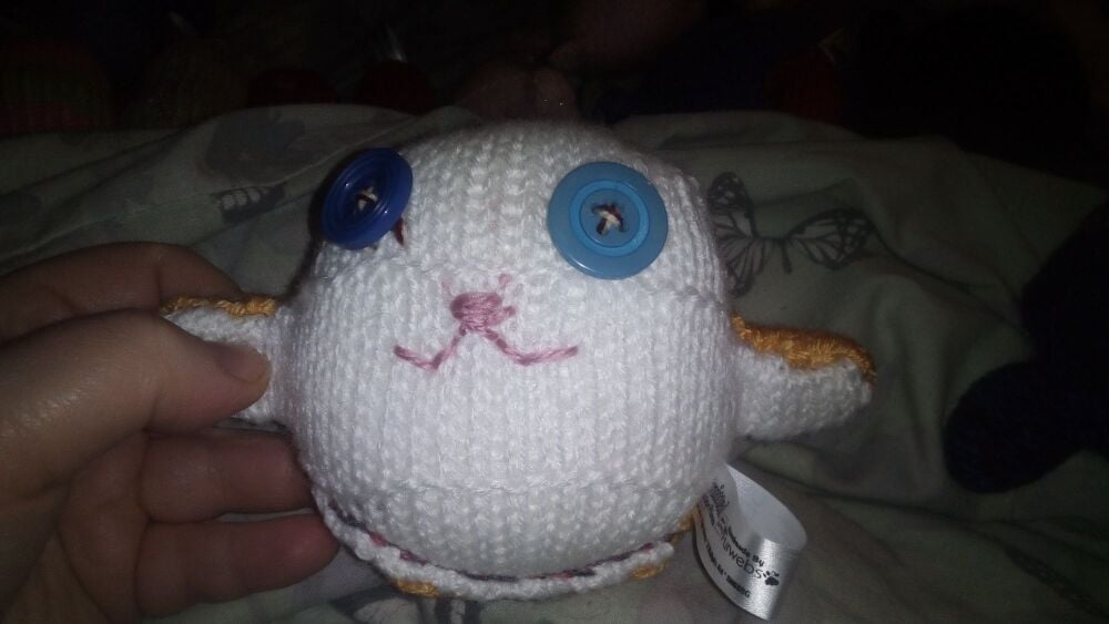 (p)White Fronted Mustard Backed with Odd Blue Eyes Mini Ted - Knitted By KittyMumma