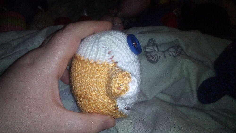 (p)White Fronted Mustard Backed with Odd Blue Eyes Mini Ted - Knitted By KittyMumma