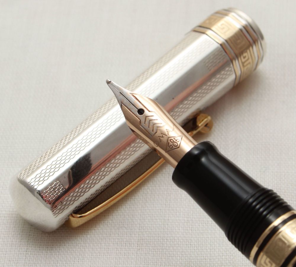 9905 Omas Paragon Fountain Pen in Sterling Silver. Medium FIVE STAR Nib.