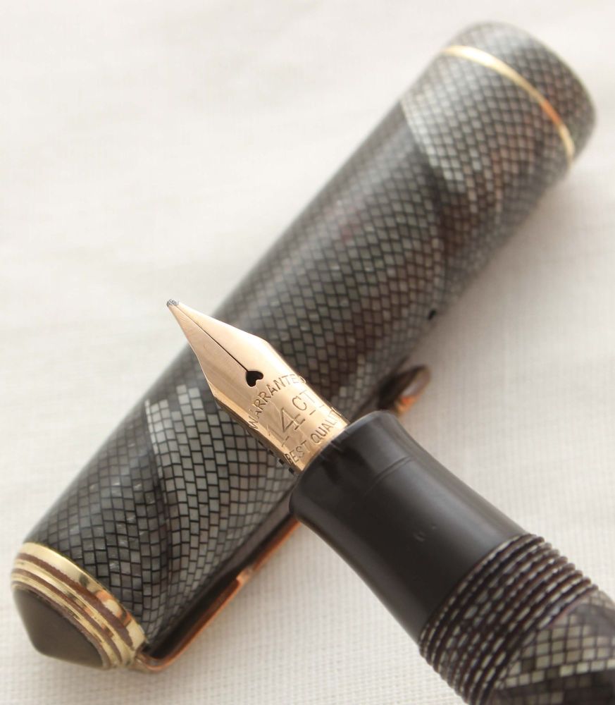3006 National Security Fountain Pen in the rare Grey and Green Lizard Skin,