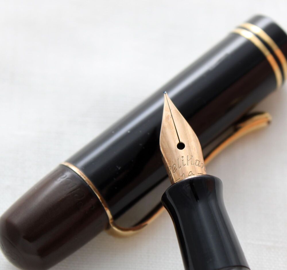 5161 Pelikan 100 Fountain Pen in Green and Black Celluloid. Fabulous Fine Flex FIVE STAR nib.