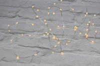<!--002-->Silver Wire Lights - 40