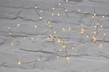 Silver Wire Lights - 40