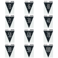 Black & Silver Age - Bunting