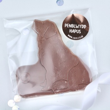 Penblwydd Hapus - Chocolate Dog