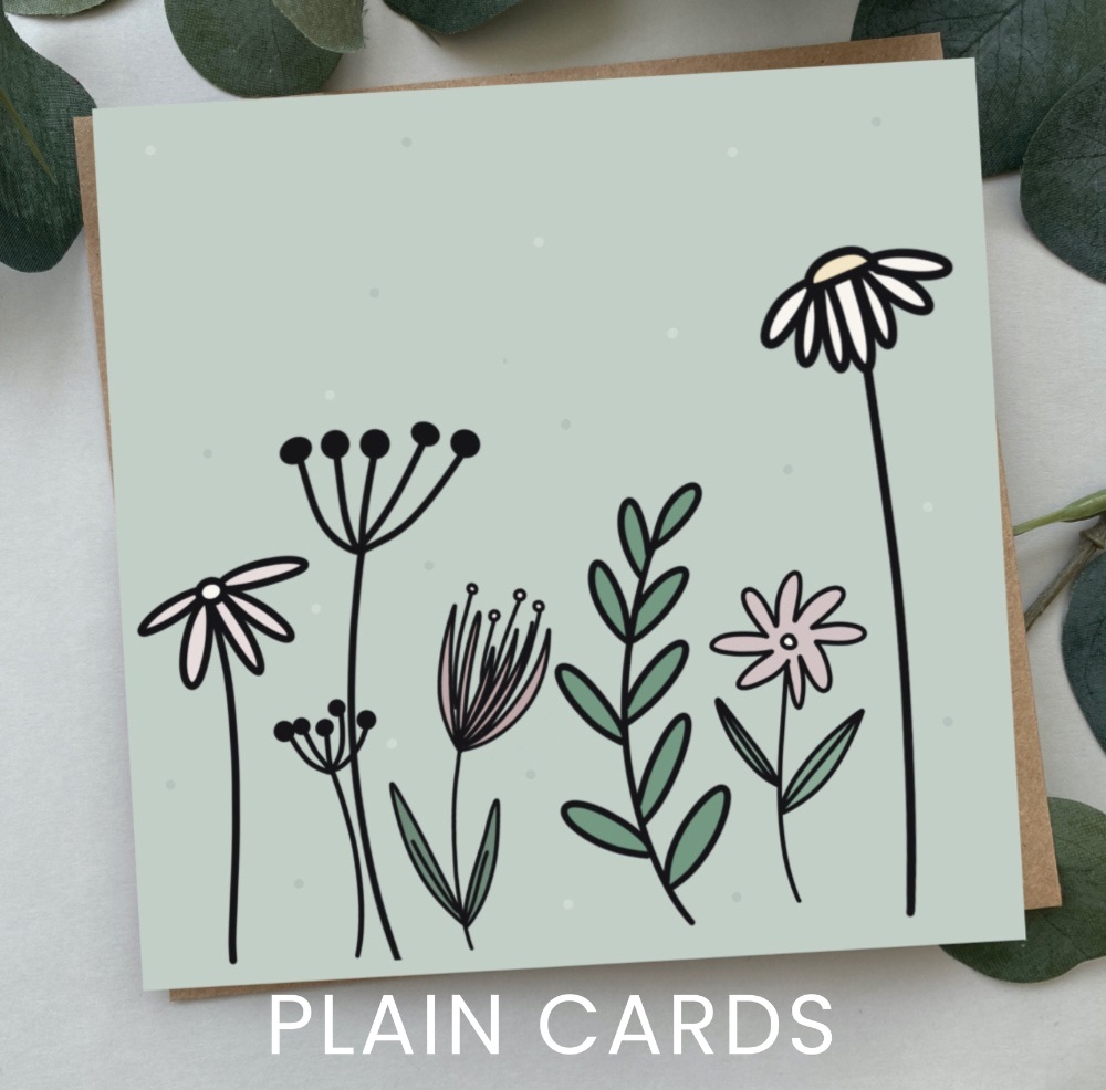 Blank/Plain Cards