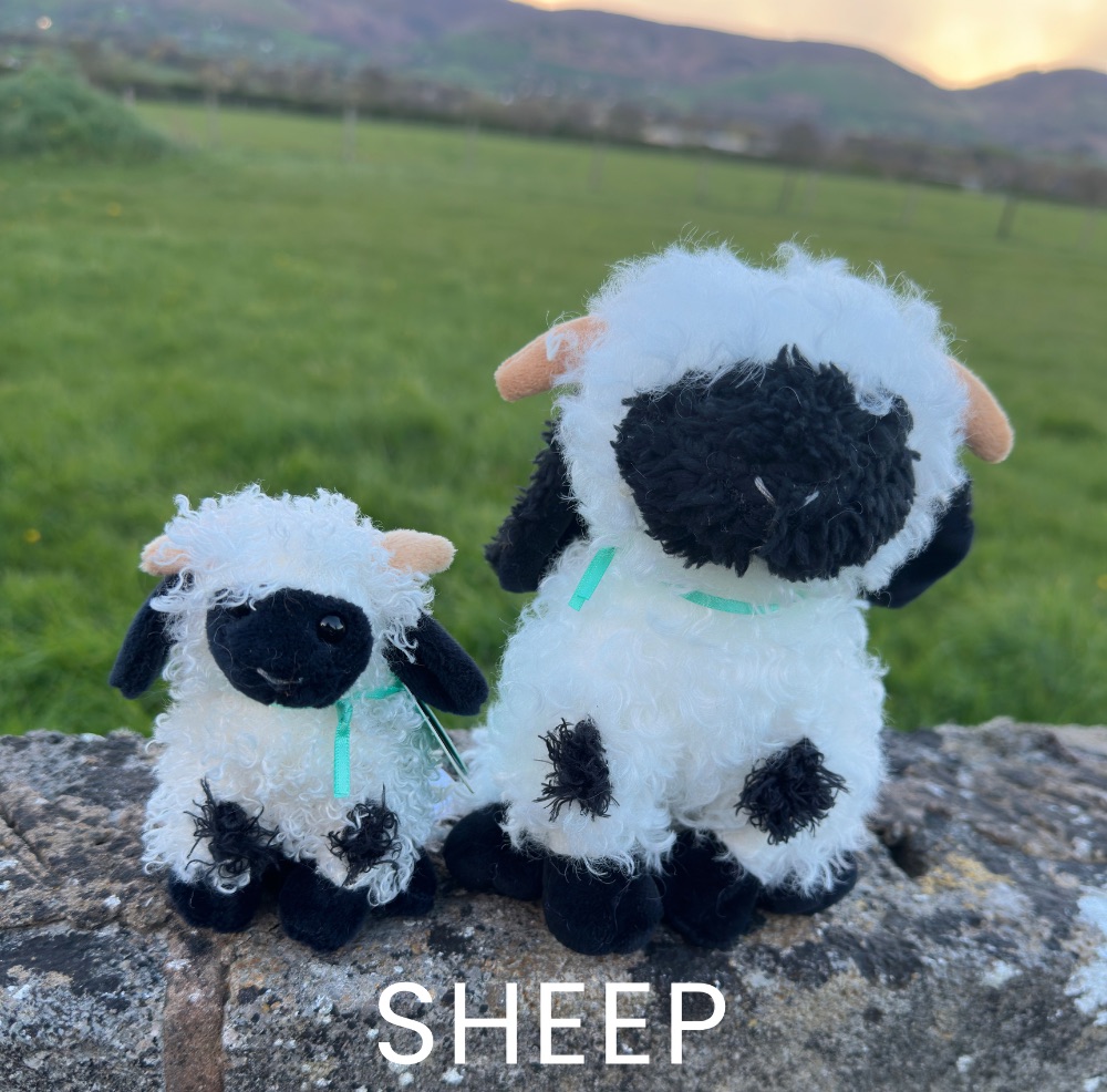 Sheep