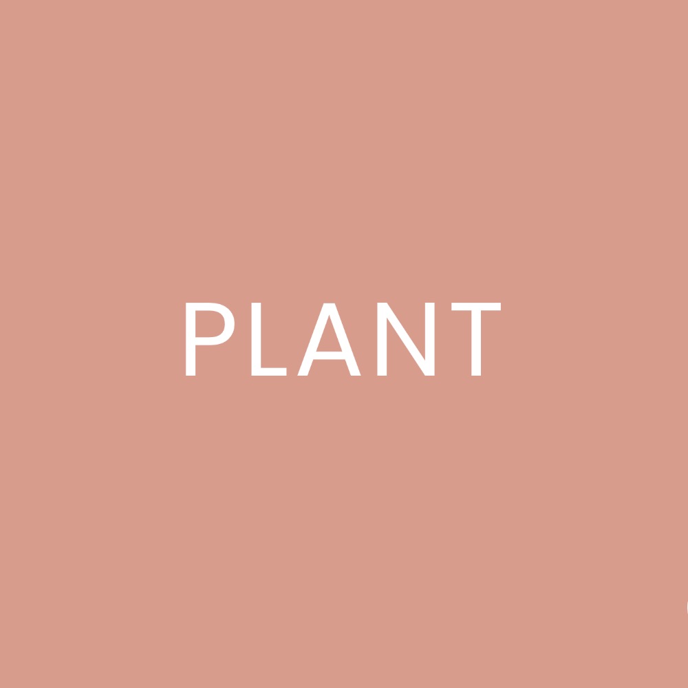 Plant - Nwyddau Cymraeg