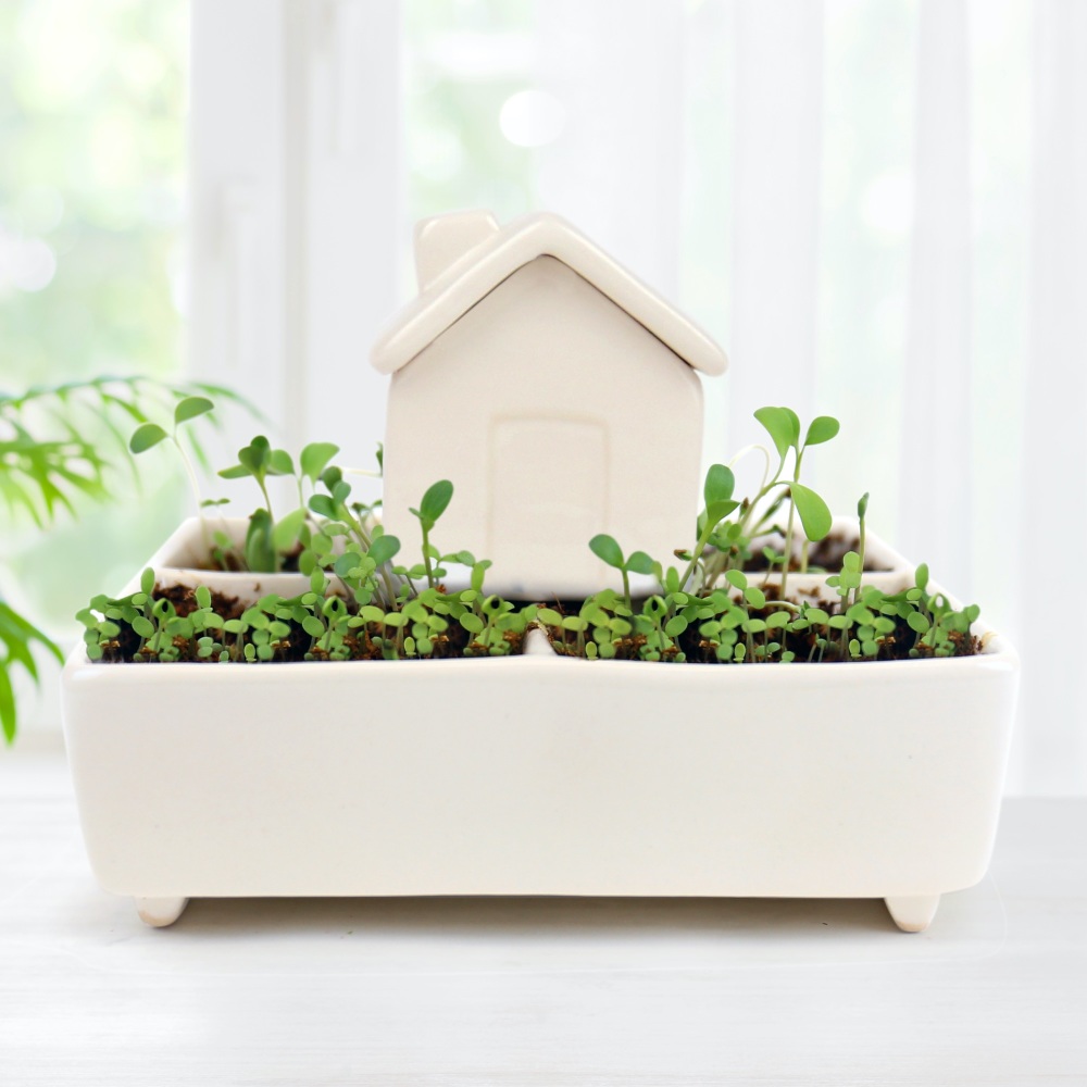 Self-watering Ceramic Herb House Growing Kit
