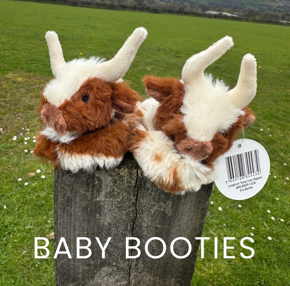 Baby Booties