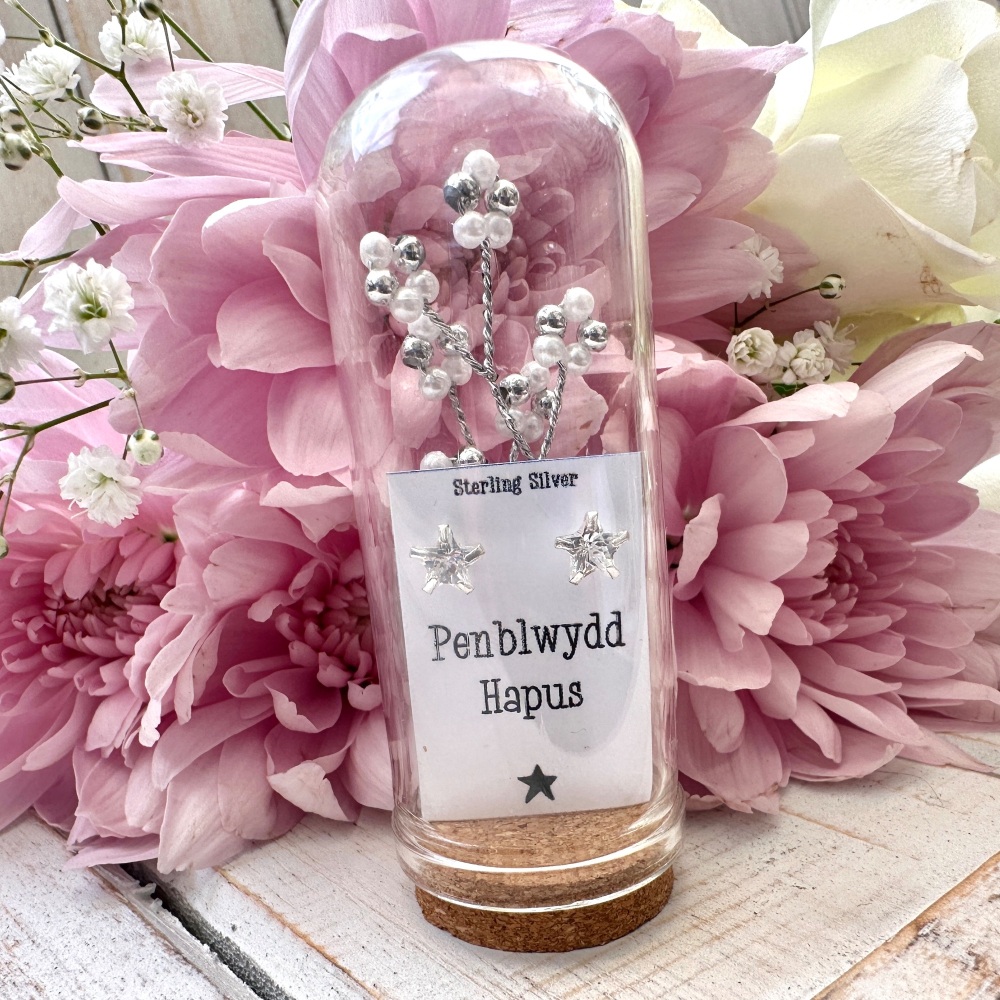 Penblwydd Hapus Clustlysau | Welsh Happy Birthday Flower Dome Earrings - Va