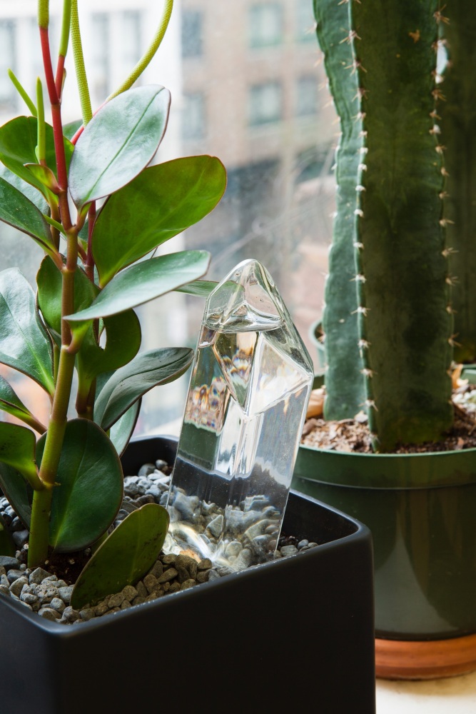 Water From a Crystal | Plant Watering Tool