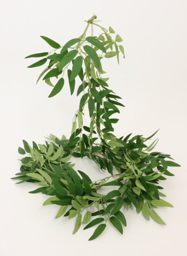 Ruscus Garland 2m