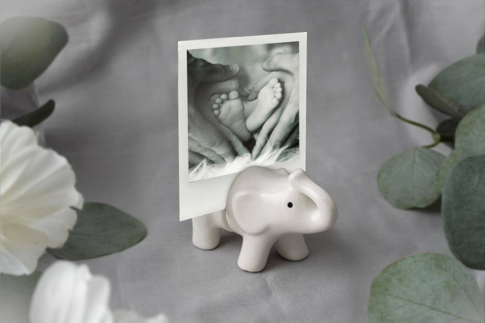 Elephant Ceramic Photo Holder | White Ceramic Elephant Photo Holder