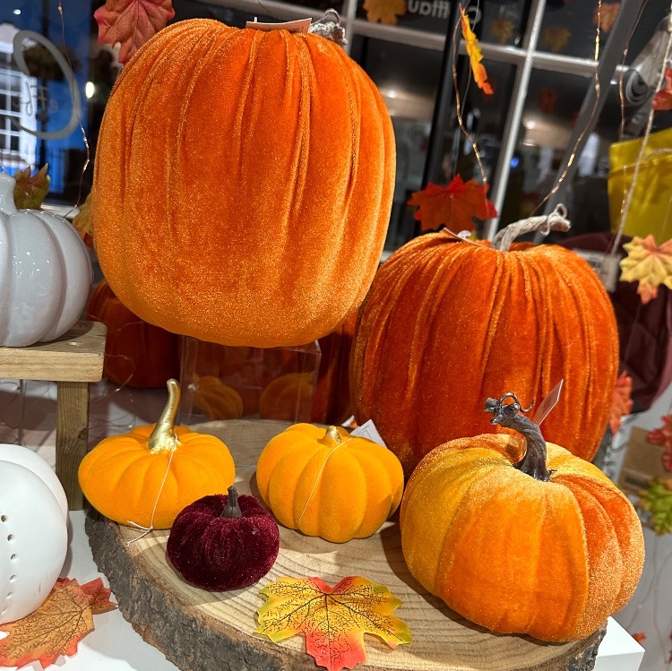 Autumn Themed Decor