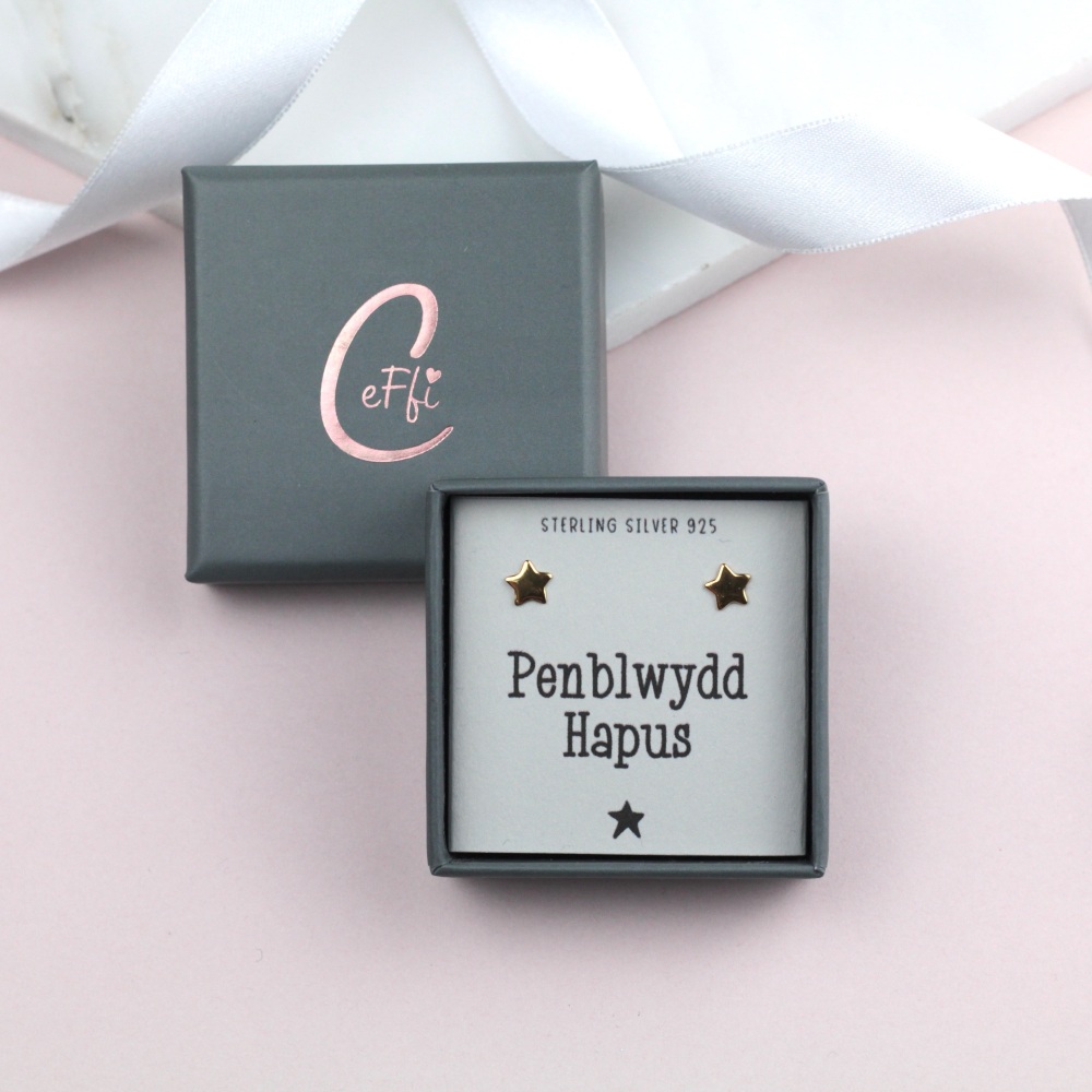 Clustlysau Penblwydd Hapus Arian | Penblwydd Hapus Sterling Silver 925 Boxed Earrings | CeFfi Jewellery - Various Choice