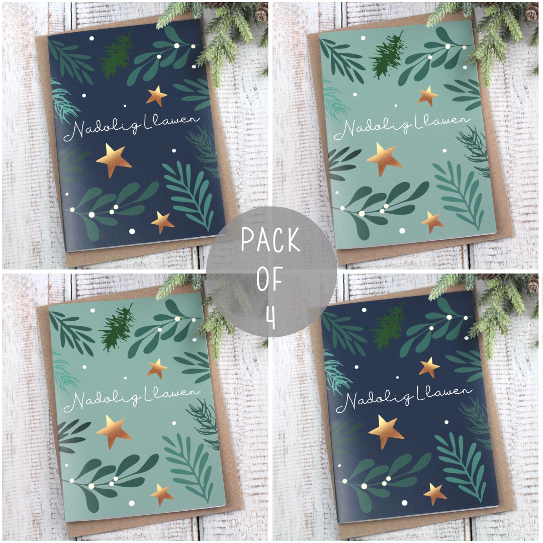 Pecyn Cardiau Nadolig Llawen Bold Sprigs | Welsh Merry Christmas Bold Sprigs Card Pack