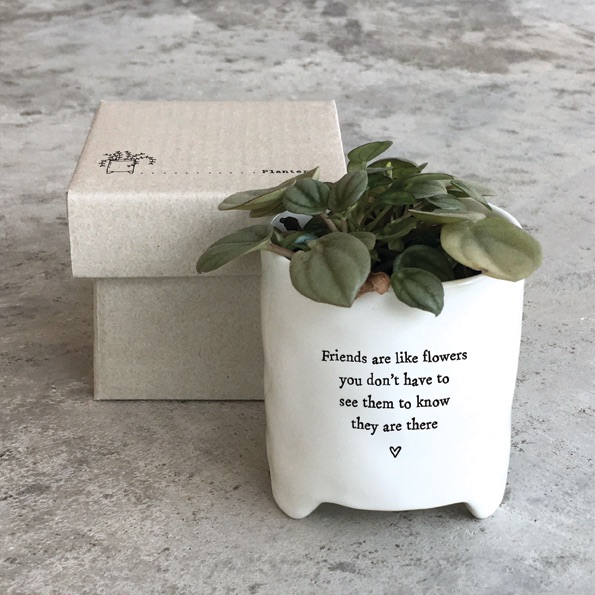 Friends are like flowers  Porcelain Planter | East of India