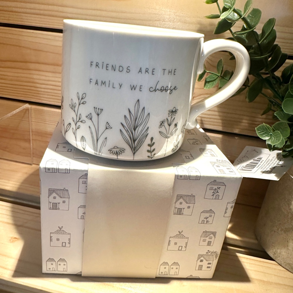 Friends are the Family we choose | Moments Mug