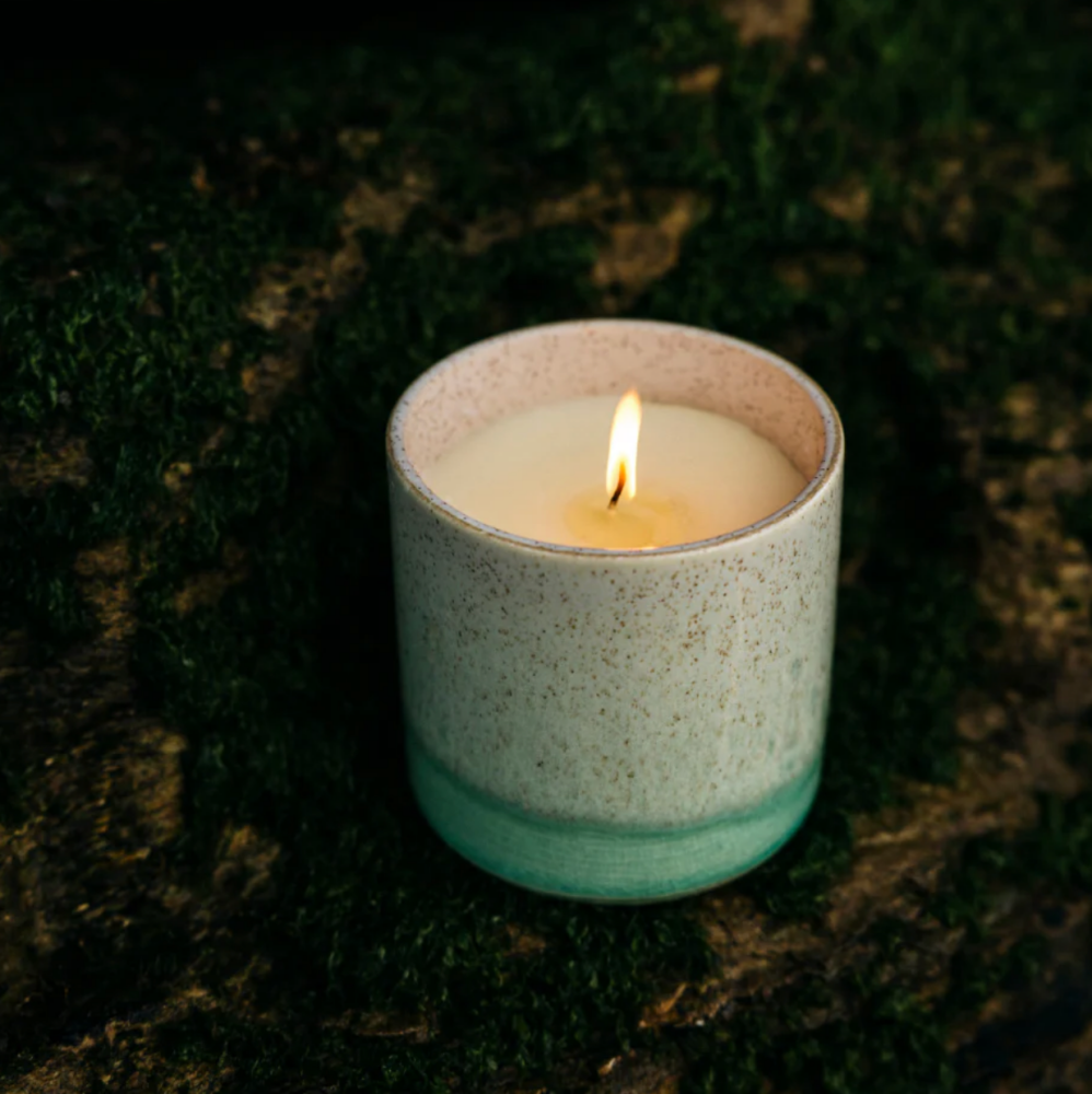 Fig Tree Scented Ceramic Pot Candle | St Eval